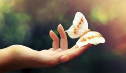 3 đặc điểm của bàn tay báo hiệu bạn là người thành công, nhiều tiền