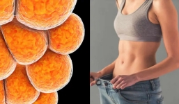 Loại mỡ cực tốt, được ví như 'áo bông' giữ ấm cho cơ thể