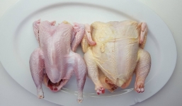 'Đại chiến' thịt gà - thịt vịt: Loại nào bổ dưỡng và tốt cho sức khỏe hơn?