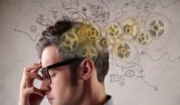 4 con giáp thông minh bậc nhất, làm gì cũng dễ thành công