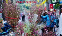 Tăng cường công tác phòng, chống dịch dịp Tết Nguyên đán và mùa lễ hội năm 2023