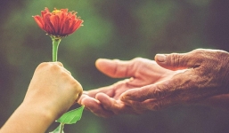 Top 3 con giáp nhiều phước đức, không may mắn đường tình thì cũng thuận lợi đường tiền