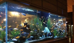 Nhà như chợ vỡ: Có 5 điểm phá phong thủy này thì gia đình lúc nào cũng lục đục, định sẵn tan đàn xẻ nghé