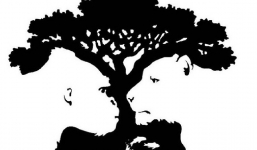 Trắc nghiệm: Hình ảnh đầu tiên nhìn thấy hé lộ bạn là người thực tế hay mơ mộng, có dễ bị lợi dụng?