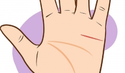 Được trời ban phước: Lòng bàn tay có 3 đặc điểm này thì chỉ số EQ rất cao, đi đâu cũng được người yêu kẻ mến