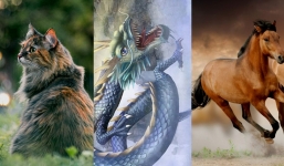 Khổ tận cam lai: Top 4 con giáp vận trình lên hương, mưa thuận gió hòa, tin vui tới tấp kể từ sau tháng 4 dương lịch