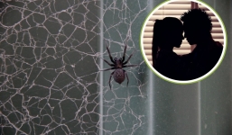 Nhà có mạng nhện giăng: Chuyên gia phong thủy chỉ rõ 3 điềm báo gia chủ cần cảnh giác