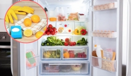 Tủ lạnh hôi rình, bỏ 1 trong 9 thứ này vào trong chỉ sau vài ngày là thơm phức
