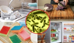 Phát hiện ra nơi nhiều vi khuẩn nhất trong phòng bếp, bẩn hơn cả giẻ rửa bát