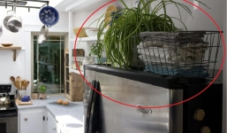 Tủ lạnh trong nhà không phạm 5 đại kỵ này thì vận số gia chủ rất tốt, tụ tài hút lộc, có của ăn của để