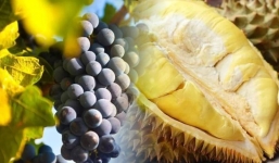 Mùa hè, đừng đụng đến 2 loại 'trái ngọt' kẻo hại gan, ăn luân phiên 3 loại 'quả chua' để dưỡng gan bảo thận