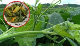 Mùa hè đừng bỏ qua loại rau giá rẻ được ví như thuốc kháng viêm tự nhiên này