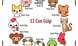 Tử vi 12 con giáp hôm nay ngày 9/6/2023: Tuổi Sửu đón tin vui, tuổi Dậu sa sút vì tự kiêu
