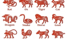 Tử vi 12 con giáp hôm nay ngày 10/6/2023: Tuổi Mão lao dốc, tuổi Thân đón điềm lành