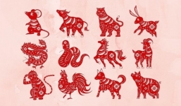 Tử vi 12 con giáp hôm nay ngày 14/6/2023: Tuổi Sửu tránh được tiểu nhân, Tuổi Tuất đừng tham lợi vặt