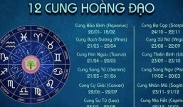 Tử vi 12 cung hoàng đạo hôm nay ngày 14/6: Song Tử tài lộc kém do lười, Xử Nữ vận đào hoa nở rộ