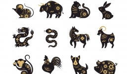 Tử vi 12 con giáp hôm nay ngày 15/6/2023: Tuổi Mão tài lộc vượng phát, Tuổi Ngọ tốn tiền cho ăn uống