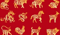 Tử vi 12 con giáp hôm nay ngày 25/6/2023: Tuổi Sửu gặp cơ hội kiếm tiền, tuổi Mùi dễ cáu gắt