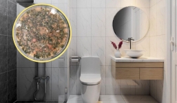 5 ổ vi khuẩn thường 'tàng hình' trước mắt bạn mỗi lần dọn dẹp nhà cửa