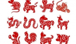 Tử vi 12 con giáp hôm nay ngày 4/7/2023: Tuổi Mão đón tài lộc ập đến, tuổi Tuất nên thử đi xem mắt