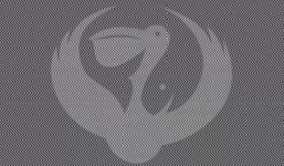 Trắc nghiệm tâm lý: Thứ đầu tiên bạn nhìn thấy tiết lộ bạn có phải người tinh tế?