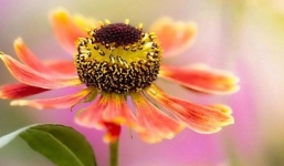 Top 3 con giáp có khí chất mạnh mẽ, tiểu nhân không dám phạm, sự nghiệp lên hương trong tháng 7