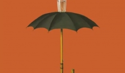 Trắc nghiệm tâm lý: Điều đầu tiên bạn thấy trong bức tranh hé lộ về già bạn có phải dựa vào con cháu