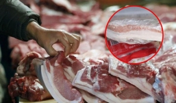 Thịt lợn tươi để được bao lâu trong tủ lạnh? Bật mí mốc thời gian bảo quản lý tưởng nhất
