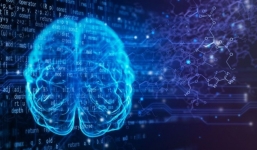 Làm ngay bài test chưa đến 1 phút để biết bộ não của bạn trẻ trung thông minh hay đã già lẫn