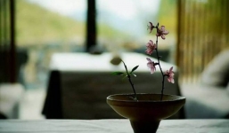 Ở đời, có 3 nơi con người không nên đến kẻo cuộc sống nông cạn, tài lộc hao mòn