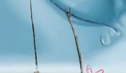 Trắc nghiệm tâm lý: Thứ đầu tiên bạn nhìn thấy hé lộ điều khiến bạn mệt mỏi