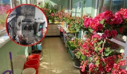 Ban công rộng đến mấy cũng không để 3 thứ này,  tránh được thì vận may sẽ tự đến