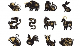 Tử vi 12 con giáp hôm nay ngày 15/8/2023: Tuổi Dần thiếu nhiệt huyết, Tuổi Tuất gặp đấu đá trong công việc