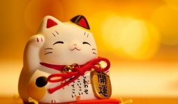 Tuần sau (21-27/8): 3 tuổi này may hết phần thiên hạ, có cơ hội trúng số phát tài nhưng đừng vì thế mà tự mãn, hấp tấp