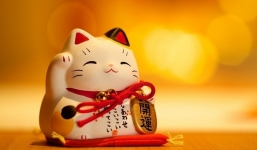  Tháng 9, 10, 11: Top 3 con giáp được Thần Tài 'sủng ái', tài lộc vô hạn, giàu sang trong tầm tay