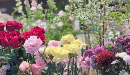 10 ngày đầu tiên sau Rằm tháng 7, 3 tuổi này làm ăn như cá gặp nước, tiền vào như thác, mặc sức mà hưởng