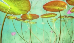 Từ 9/9-16/9: 3 tuổi chăm chỉ, trí tuệ, lại được sao tài lộc chiếu, bước vào thời hoàng kim 