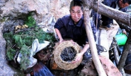 Hang động kỳ bí, cứ đến tết Thanh Minh là tuôn hàng tấn cá cho người dân 'hứng lộc', chuyên gia biết nguyên nhân thì tức tím mặt