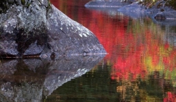 Từ 12/9: 3 con giáp đảo chiều vận mệnh, tận hưởng sự nghiệp vinh hiển, tiền bạc đầy túi