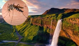 Kỳ thú: Quốc gia quanh năm không muỗi, người dân câu cá, đánh golf lúc nửa đêm