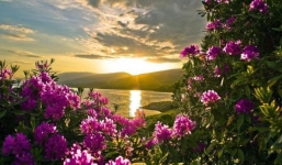 Từ 15-30/9: 3 con giáp này đổi đời, cứ túc tắc, chăm chỉ cũng đủ đón mệnh giàu sang