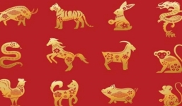 Tử vi 12 con giáp hôm nay ngày 17/9/2023: Tuổi Sửu gặp quý nhân, tuổi Thân được nhiều người theo đuổi