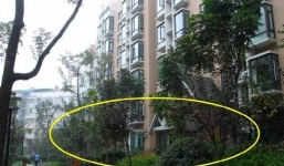 Nỗi khổ khi mua nhà chọn tầng một và những bí kíp 'sống chung với lũ'