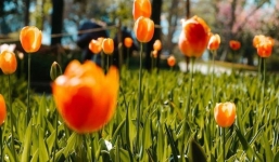 Từ 26/9-19/10: 3 tuổi này được Thần Tài ưu ái, dám nghĩ dám làm thì 'tiền chảy vào túi' không ngừng