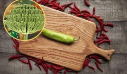 6 nơi chứa chất độc mạnh gấp 68 lần thạch tín, nhà nào cũng có nhưng thường xuyên bị bỏ qua