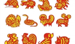 Tử vi 12 con giáp hôm nay ngày 30/9/2023: Tuổi Mão dễ tranh cãi trong công việc, tuổi Hợi có tiền dành dụm