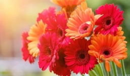 Tan sương, vén mây: 3 con giáp gặp nhiều may mắn nhất tháng 10, sự nghiệp thăng hoa, của cải vào như sóng cồn