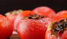 Loại quả là ‘thần dược trái cây’, ăn vào ấm phổi, hồng da, tiêu hóa trơn mượt nhưng đại kỵ với 3 nhóm người