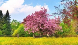 Tháng 10,11,12: 4 con giáp này nội lực bứt phá lại thêm Thần Tài chống lưng, chuẩn bị hốt bạc