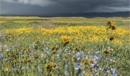 Từ 13/10: 3 con giáp đón quý nhân, khai mở phúc lộc, nhưng tuyệt đối đừng quên 2 chữ 'khiêm tốn'